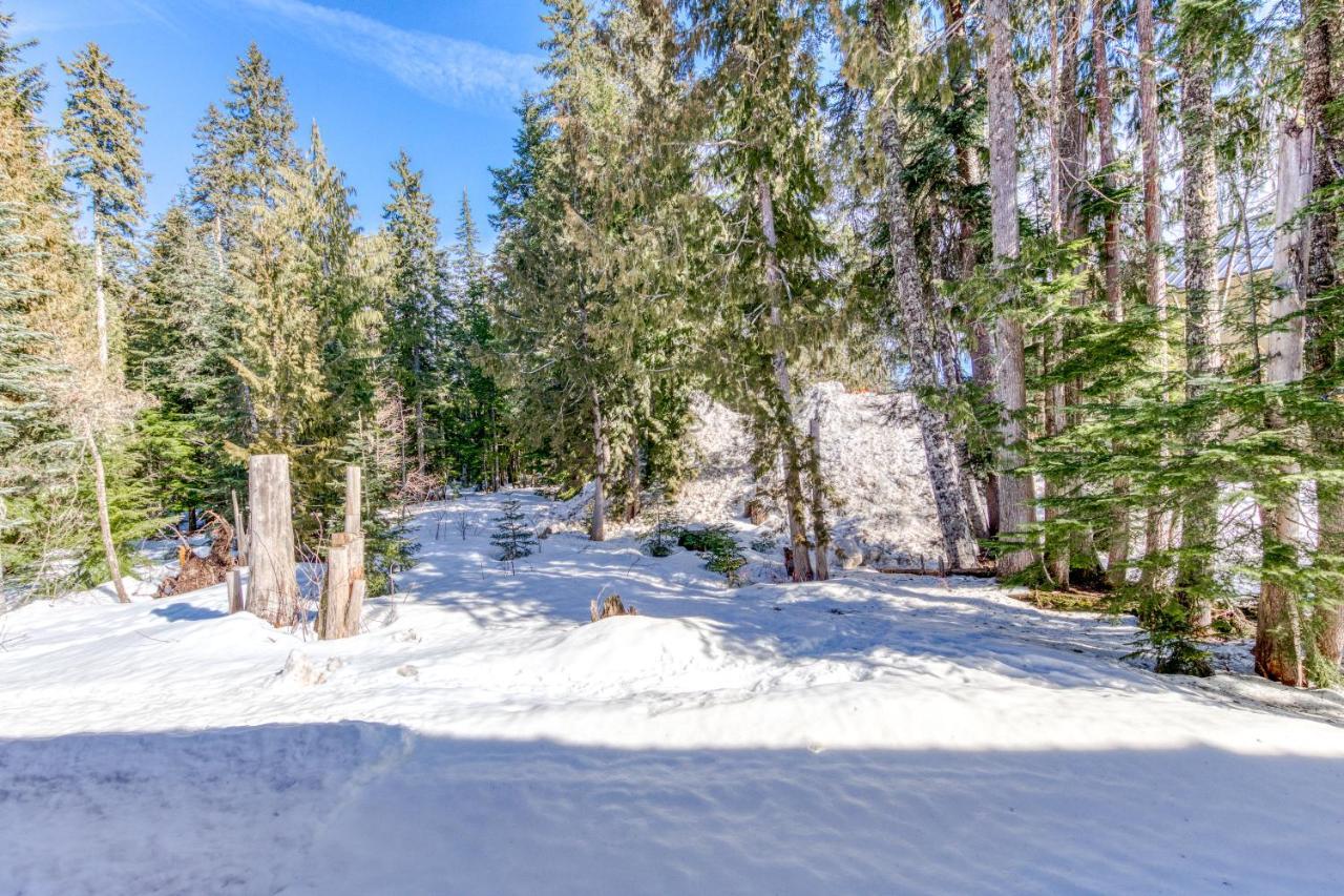 The Chefs Chalet At Collins Lake Apartamento Government Camp Exterior foto